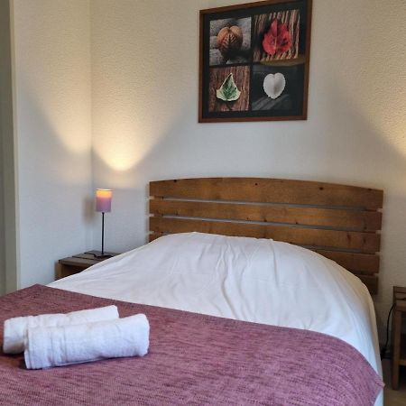 Aureilhan-Appartemant 4-6 Pp Piscine Cosy En Bord Lac Kültér fotó