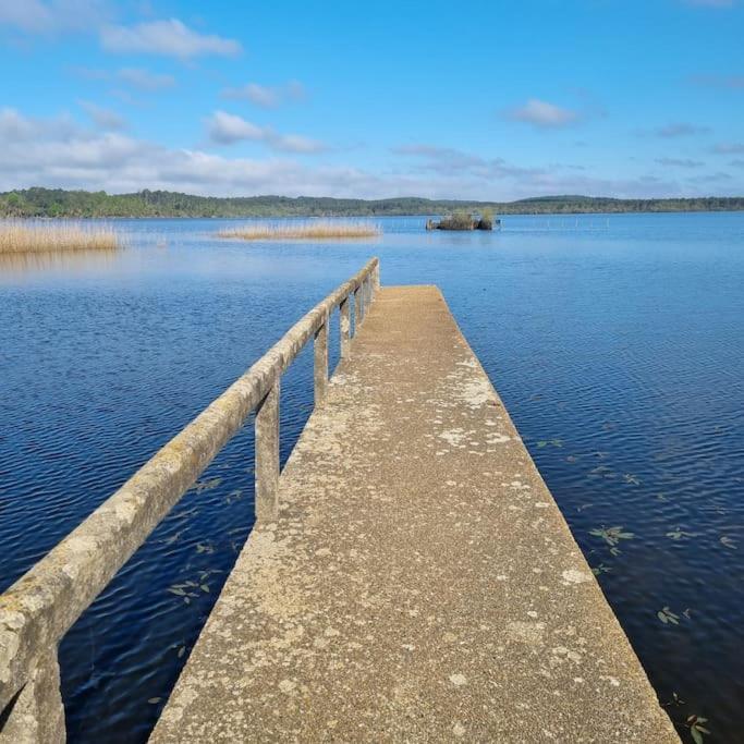 Aureilhan-Appartemant 4-6 Pp Piscine Cosy En Bord Lac Kültér fotó
